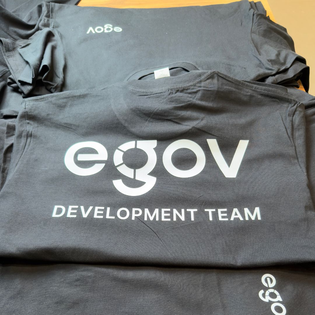 Корпоративные футболки с логотипом eGov